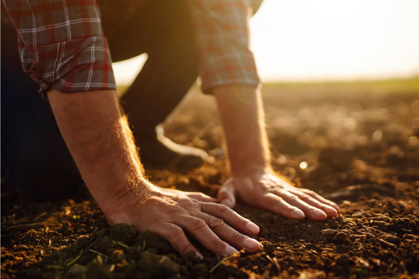 Man pressing down soil on a farm