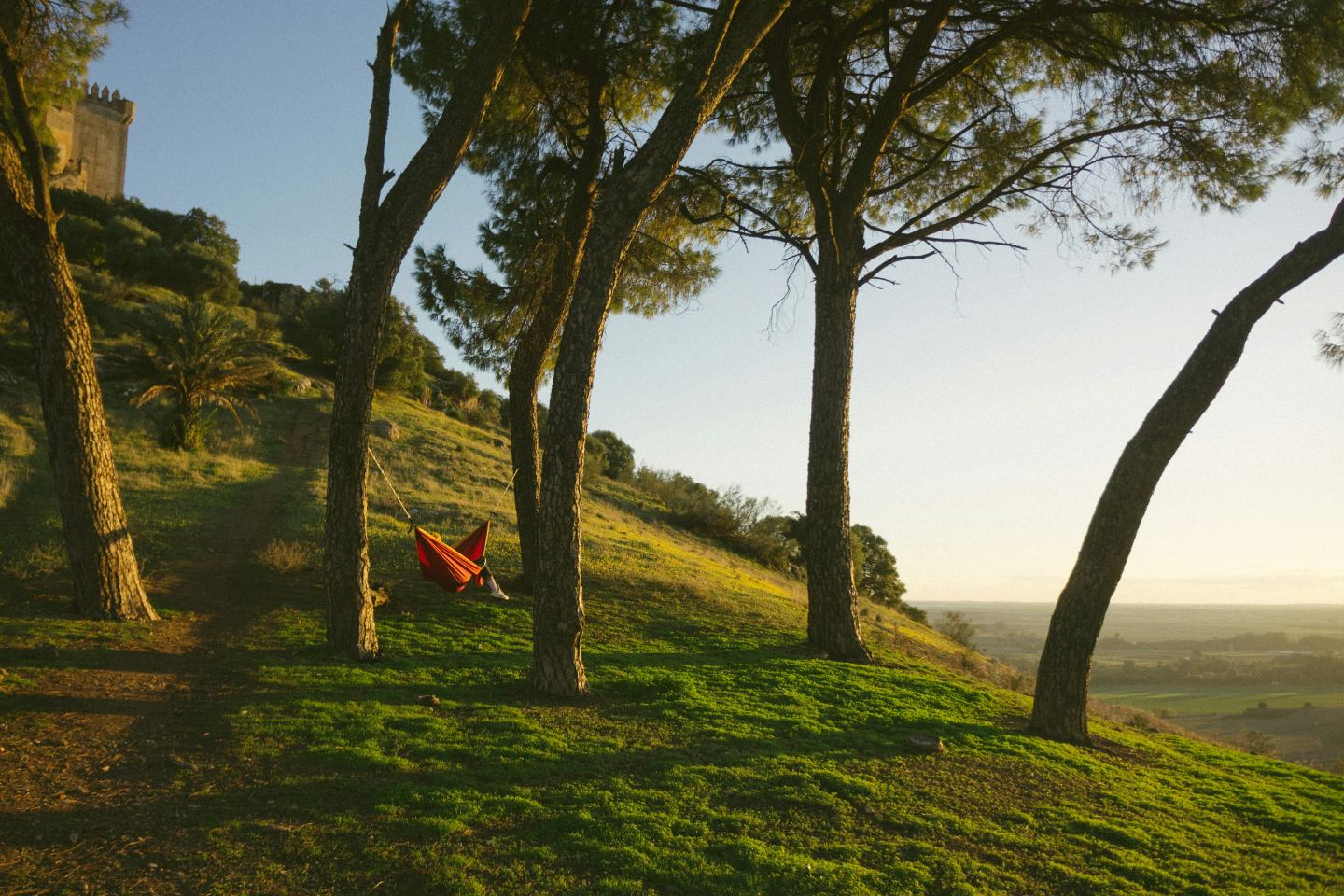 Person relaxing in a hammock in the countryside